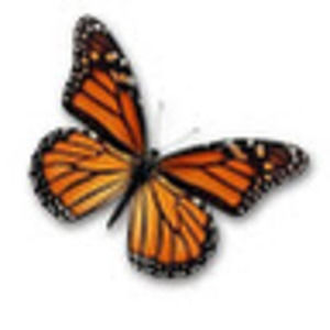 Meet your Posher, Valerie